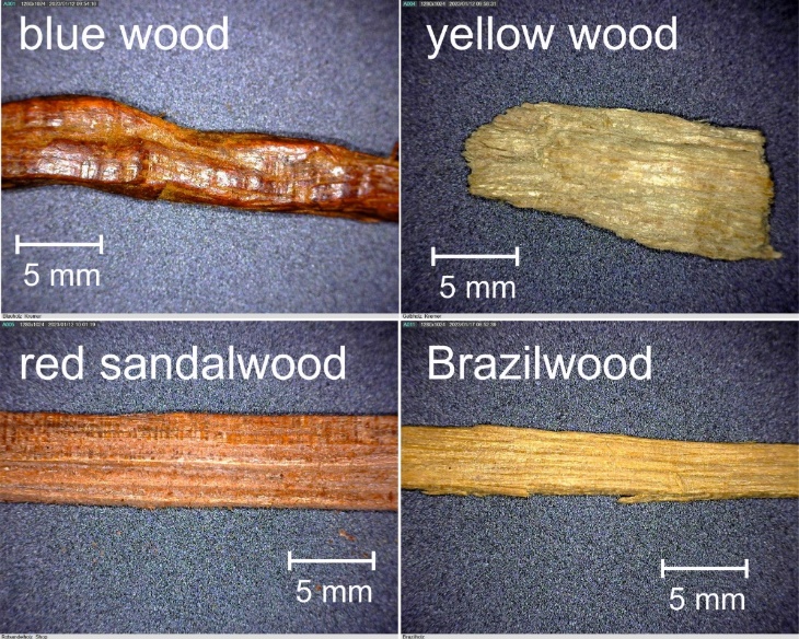 This figure shows four different wooden fibers