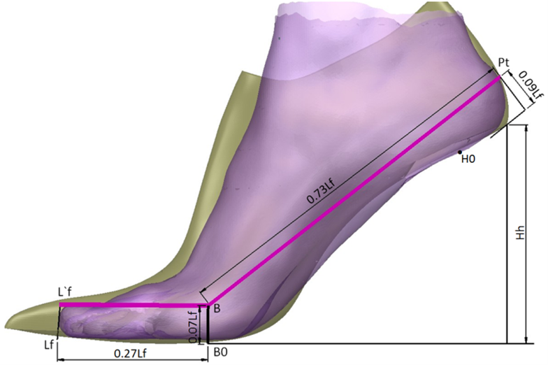 Mutual alignment of the feet models for parameters comparison - side view of the 3D foot and last models