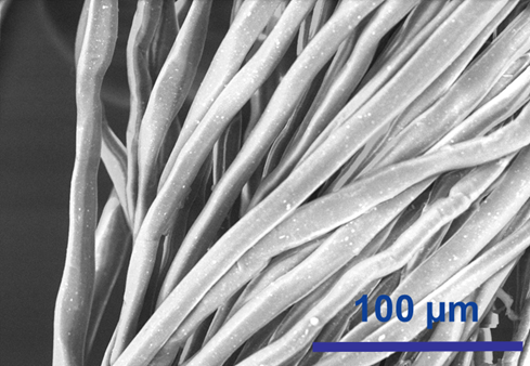 SEM image of Lyocell fibers containing titanium dioxide TiO2 particles.